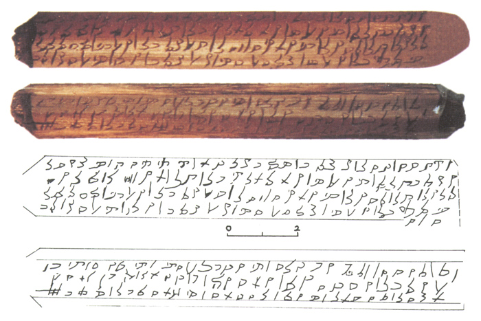 Tige de palmier présentant une inscription sabaique en écriture minuscule (YM 11738), provenant de Nashshān/as-Sawdā’.