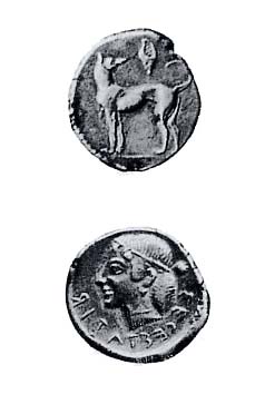Didramma segestano, 455/50-445/40 a.C. ca., con legenda retrograda: σεγεσταζιβ.
